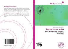 Couverture de Batrachedra velox