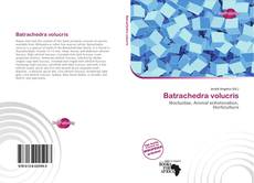 Portada del libro de Batrachedra volucris