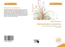 Bookcover of Batrachedra zonochra