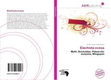 Buchcover von Elachista evexa