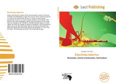 Elachista laterina 的封面