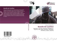 Buchcover von Bataille de Castillon