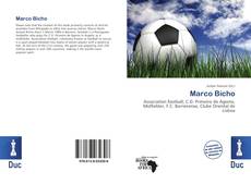 Buchcover von Marco Bicho