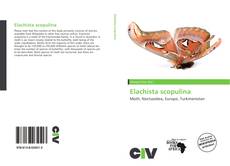 Buchcover von Elachista scopulina 