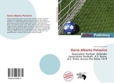 Copertina di Dario Alberto Polverini
