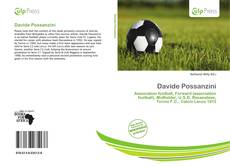 Bookcover of Davide Possanzini