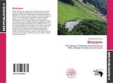 Buchcover von Blidulphe