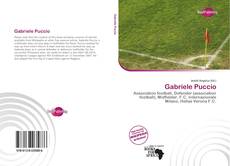 Bookcover of Gabriele Puccio