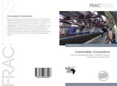 Buchcover von Cannondale, Connecticut