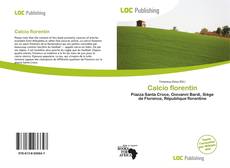 Bookcover of Calcio florentin