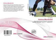 Andrea Mandorlini的封面
