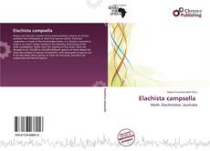 Portada del libro de Elachista campsella 