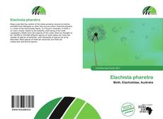 Portada del libro de Elachista pharetra