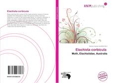 Couverture de Elachista corbicula 