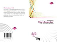 Bookcover of Elachista epartica 