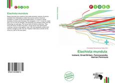 Обложка Elachista mundula 