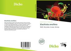 Buchcover von Elachista ensifera