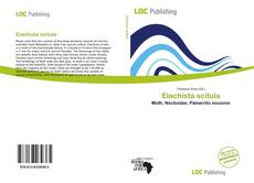 Borítókép a  Elachista scitula - hoz