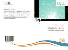 Copertina di Elachista citrina