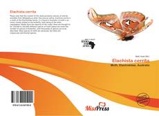 Couverture de Elachista cerrita