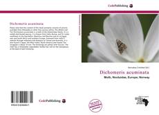 Couverture de Dichomeris acuminata