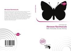 Bookcover of Abraxas flavimacula