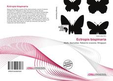 Ectropis bispinaria的封面