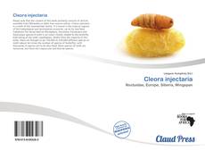 Bookcover of Cleora injectaria