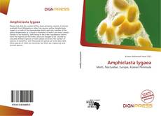 Amphiclasta lygaea的封面