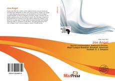 Couverture de Joe Angel