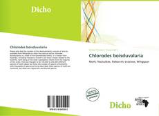 Borítókép a  Chlorodes boisduvalaria - hoz
