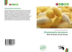 Copertina di Chaetolopha decipiens