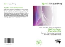 BJW Tag Team Championship的封面