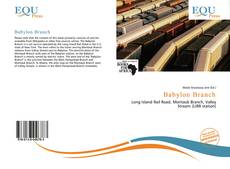 Copertina di Babylon Branch