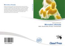 Bookcover of Microdes villosata