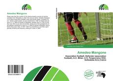 Portada del libro de Amedeo Mangone