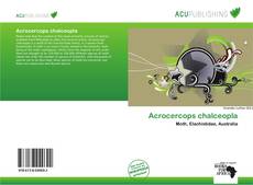 Couverture de Acrocercops chalceopla
