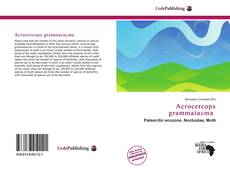 Buchcover von Acrocercops grammatacma 
