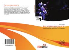 Обложка Acrocercops macaria 