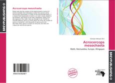 Buchcover von Acrocercops mesochaeta