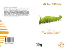 Acrocercops prospera 的封面