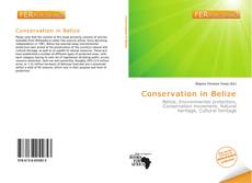 Bookcover of Conservation in Belize