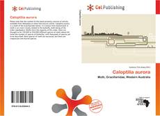 Buchcover von Caloptilia aurora