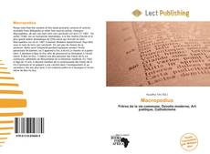 Macropedius的封面