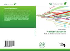 Caloptilia azaleella kitap kapağı