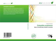 Copertina di Caloptilia ecphanes