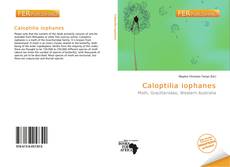 Bookcover of Caloptilia iophanes