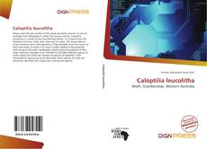 Caloptilia leucolitha的封面