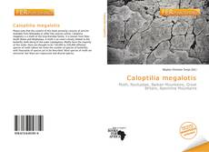 Bookcover of Caloptilia megalotis