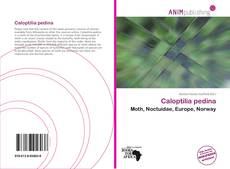 Couverture de Caloptilia pedina